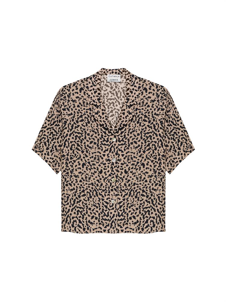 Catwalk Junkie Resort leopard blouse