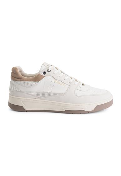 Dstrezzed DS_Low Basket
